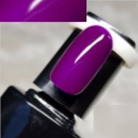 Gel Polish 06 violet vernis semi permanent